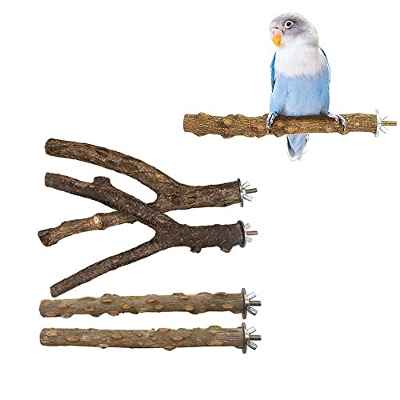 4 Piezas Perchas Forma Y para Loros, Perchas para Jaulas Pájaros, Juego Perchas para Pájaros Juguete, Perchas Madera para Pájaros, Ramas Soporte de Aves, para Africano Guacamayo Birds