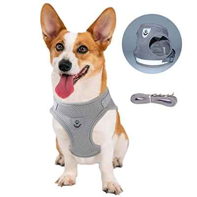 Arnes Perro Grande Mediano Arnés Pecho Antitirones Perros Coche con Lineas Reflectantes, Cómodo Transpirable, Ajustable- Correa para Perros y Cinturón de Seguridad Automotriz Incluidos (XL)