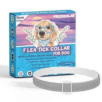 Collar Antipulgas para Perros, 100% Natural Perro Collar Antiparasitario, 8 Meses de Protección para Perros, Ayuda a Cachorros, Perros Medianos y Grandes a Repeler Eficazmente Piojos, Pulgas y Plagas