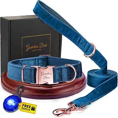 Collar Perro Extra Grande con Correa y Colgante de luz. Set Elegante y Completo de Terciopelo Suave para Perros, Gatos y Cachorros.