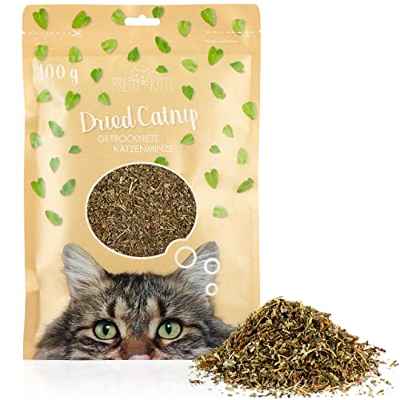 Hierba gatera seca 100 g: menta gatuna prémium natural para juguetes de gatos y como estímulo – Hierba gatera secada – Menta gatuna seca de PRETTY KITTY