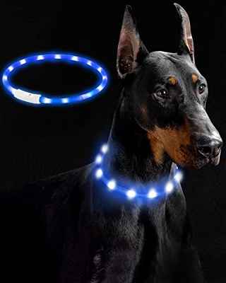 LED Collar Perro Collar de Seguridad, Collar de Perro de Mascota, Collar Luminoso Perro de Mascota, USB Recargable Collar de Seguridad para Mascotas Impermeable hasta (Azul)