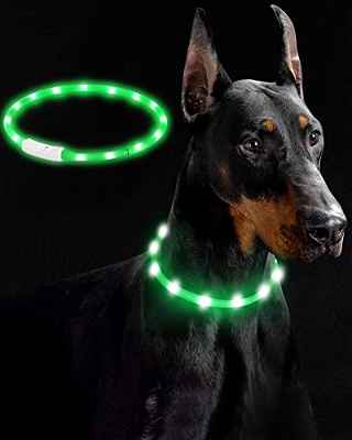 LED Collar Perro Collar de Seguridad, Collar de Perro de Mascota, Collar Luminoso Perro de Mascota, USB Recargable Collar de Seguridad para Mascotas Impermeable hasta (Verde)