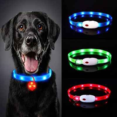 Oladwolf Collar Luminoso Perro, USB Recargable Collar Perro luz Seguro 3 Modos, Collar LED Impermeable Ajustable para Perro y Gato Menos 20kg - Azul