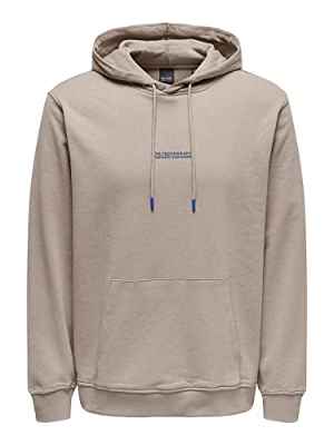 Only & Sons Onselon Life Reg Logo Hood 3842 Swt Noos Sudadera, Forro Plateado, M para Hombre