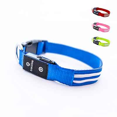 Tractive Collar luminoso para perros, Carga USB, Impermeable (S, azul)