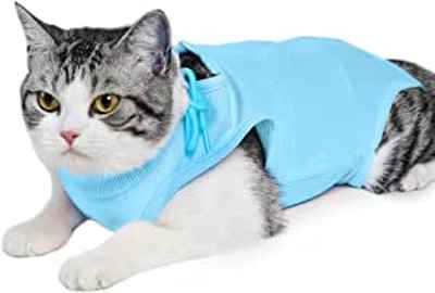 Traje de recuperación anti-lamidos Easy Joy para gatos