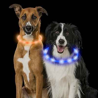 VOSSOT Collar luminoso para perro, 2 unidades, LED, recargable, USB, longitud ajustable, resistente al agua, con tres modos de iluminación para perros y gatos (azul, naranja)