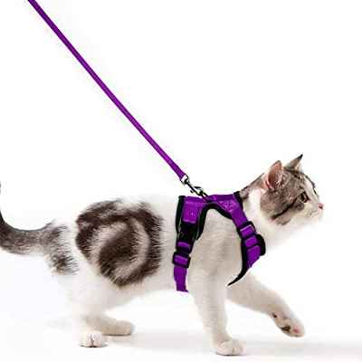 Wdmiya Arnes Gato Antiescape, Arnés para Gato Ajustable con Correa de 150cm, Chaleco Suave Cómodo Reflectante Transpirable para Caminar Entrenar, Gato Adulto Grande Mediano y Pequeño S, XS(Violeta, S)